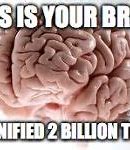 Image result for Missing Brain Meme