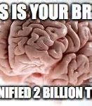 Image result for Infinity Brain Meme