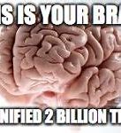 Image result for No Brain Meme