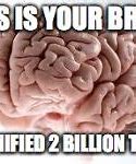 Image result for Brain Meme Imagfe