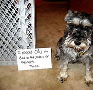 Image result for Funny Bad Puppies