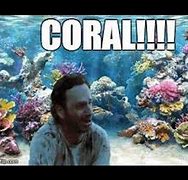 Image result for Shellfish Coral Walking Dead