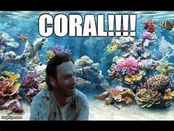 Image result for Walking Dead Finding Nemo Coral