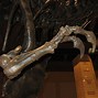 Image result for Tyrannosaurus Rex Arms