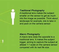 Image result for Camera Lens Macro and Micro