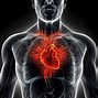 Image result for Anatomy Human Heart Wallpaper