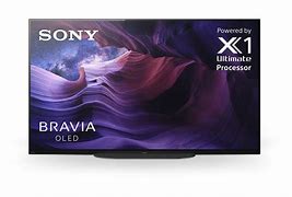 Image result for Sony 48 Inch Screen Only