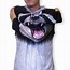 Image result for Panda Bear Hoodie