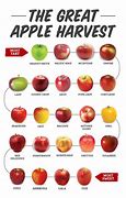 Image result for Comparing Apple's to Apple's in a Proposal