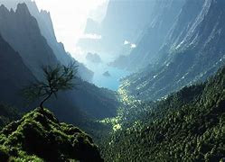 Image result for Lush Green Forest Valley