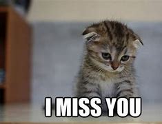 Image result for Cute Miss You Memes
