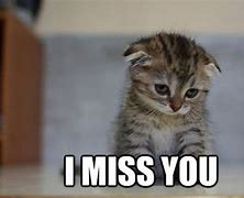 Image result for Cute Miss You Meme