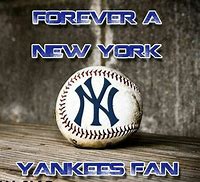 Image result for Let's Go Yankees