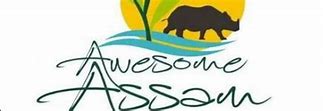 Image result for AEI Assam Logo