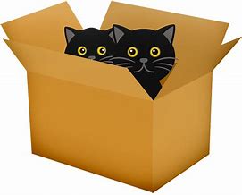 Image result for Cat in a Box Clip Art