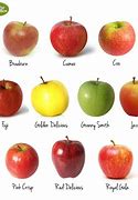 Image result for What's the National Apple of USA