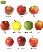 Image result for Red and Yellow Apple Varieties
