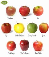 Image result for Types of Yellow Apple's