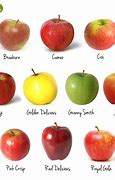 Image result for Us Apple Varieties