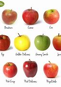 Image result for Common Types of Apple Australia