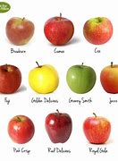 Image result for Similar Fruit Like Small Apple