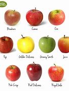 Image result for All Kinds of Apple's