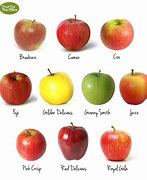Image result for Apple Variety Chart