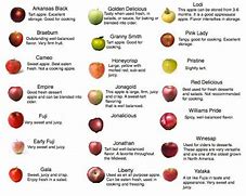 Image result for Purple Apple Varieties