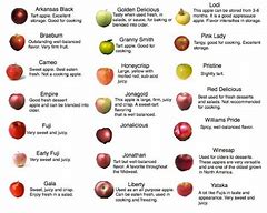 Image result for Apple Identification Chart