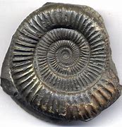 Image result for Fossil Julianna Gen 5 Rose Gold