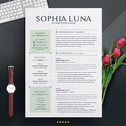 Image result for Creative Resume Templates