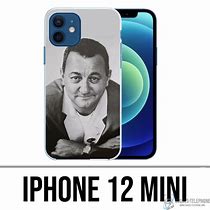 Image result for Protector for iPhone Cover for 12 Mini