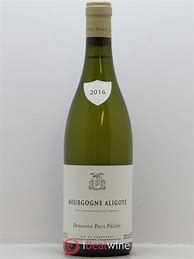 Image result for Paul Pillot Bourgogne Aligote