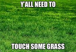 Image result for I Don't Need to Touch Grass I Need Him Dead