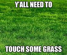 Image result for Meme Local Man Seen Touching Grass