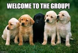 Image result for Welcome to the Group Meme