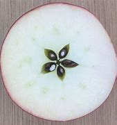 Image result for Apple Pentagram