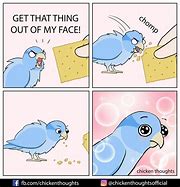 Image result for Bird Cracker Meme