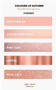Image result for Rose Gold Color Circle