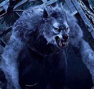 Image result for Werewolf Folklore