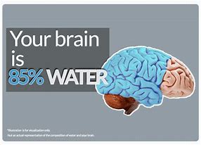 Image result for Water Brain Memes