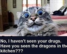 Image result for Funny Drug Cat Memes