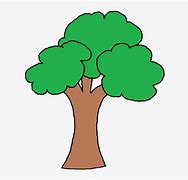 Image result for Apple Tree No Apples