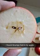 Image result for Apple Meme Face Staring at You