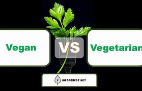 Image result for Vegitariean Vs. Vegan