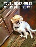 Image result for Funny Words for Animals