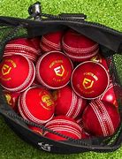 Image result for Cricket Back Bag