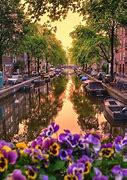 Image result for Most Beautiful Netherlands