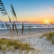 Image result for Amelia Island Beach Remtals