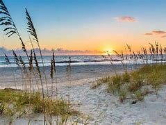 Image result for Amelia Island Beach Pics